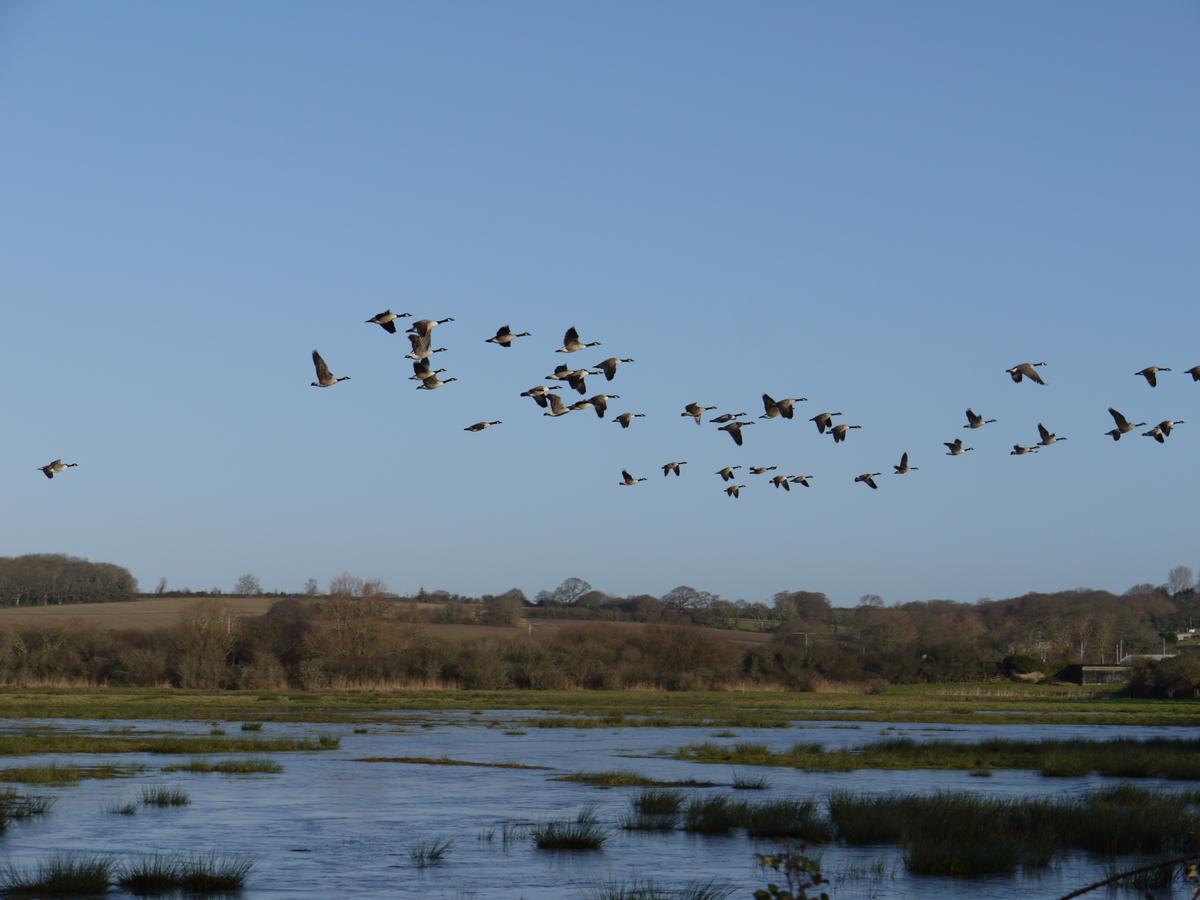 The Lodge On The Marsh Brading Εξωτερικό φωτογραφία